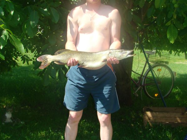 POŁÓW Z J. KOPCZE 
SZCZUPAK 3,5 kg 83 cm