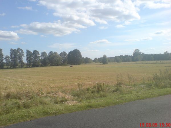 Droga koło domu i pola za drogą