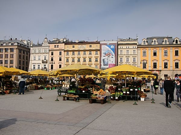 Na krakowskim rynku