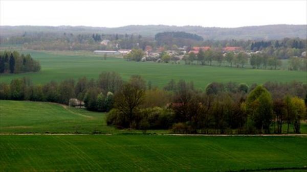 zdjecie Widryny