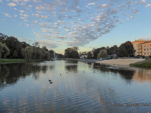 Poniatowa, zalew miejski - foto. Krzysztof Goleń