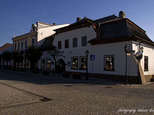 "Dom na dołkach"- Muzeum Regionalne