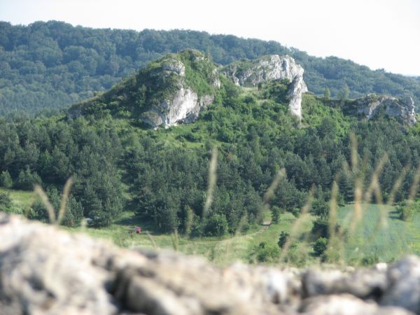 Widok z zamkowego wzgorza na sasiadujaca skalke 2011