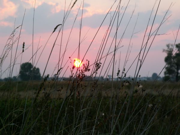 Zachód słońca nad Bródzkami