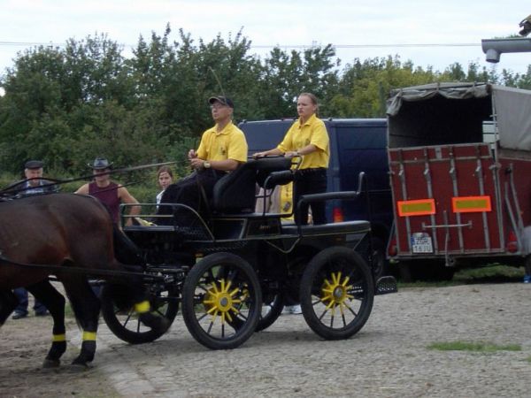 Zabawa z Koniem -2008