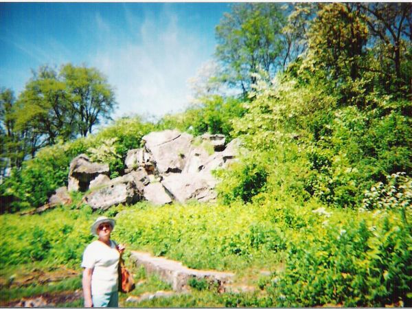 Arboretum zajmuje także dziewiętnastowieczny fort dawnej Twierdzy Przemyśl.