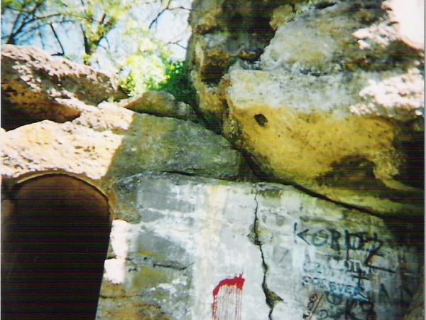 Twierdza Przemyśl w czasie I wojny światowej była jedną z trzech największych tego typu fortyfikacji obronnych w Europie /po Antwerpii i Verdun/. Arboretum - sw