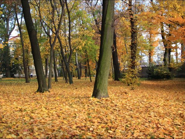 Klasztor i park  ss. Niepokalanek na Głębokiej.