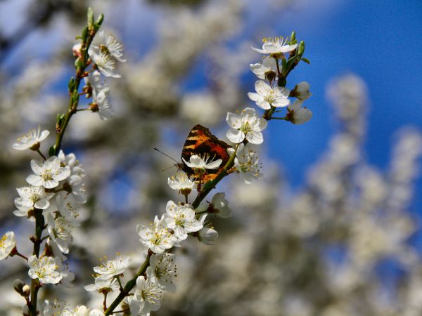 zdjecie Tyniewicze Duże