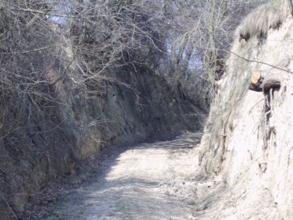 Jeden z wąwozów w Wielobyczy