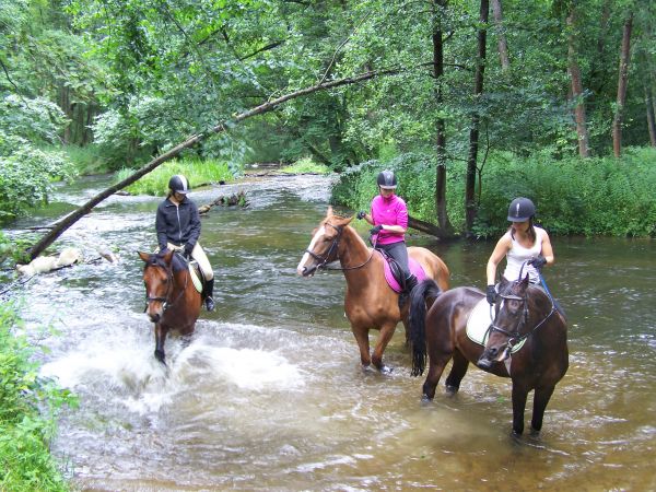 Borkowo nad Radunią
