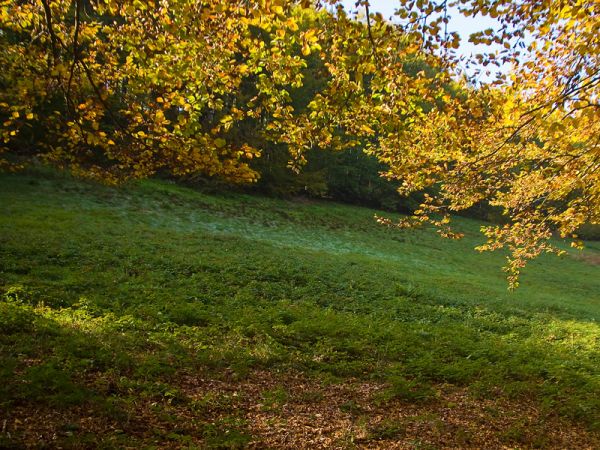 Festiwal jesiennych kolorów-Rytro