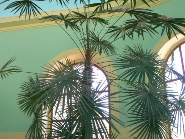 zdjecie Kudowa-Zdrój