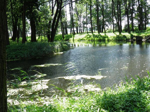 Park i Pałac z lat 1817-1819, powstały wg. projektu Magdaleny z Dzieduszyckich Morskiej przy pomocy Chrystiana Piotra Aignera i budowniczego Fryderyka Baumana.