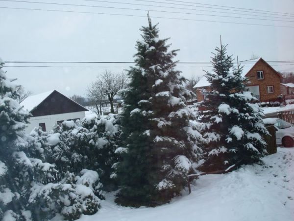 Wola Wadowska zima2008