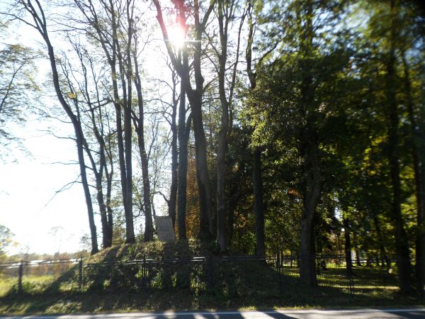 pomnik z tablicą, odsłonięty w rocznicę 1000-lecia Państwa Polskiego, na skraju parku dworskiego, na terenie przyszkolnym - fundatorami byli uczniowie i kadra p