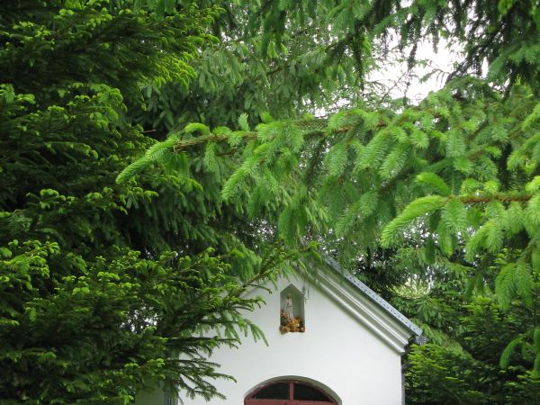 kaplica przydrożna - domkowa, kiedyś we wsi nie było kościoła - cerkiew była, i takie kaplice wiernym obrządku rzymsko-katolickiego w jakimś zakresie musiały wy