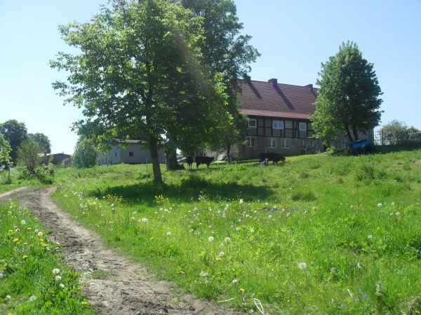 Dwór od strony północnej