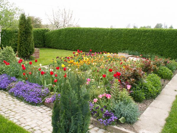 Jest czym oko popieścić