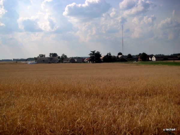 zdjecie Kołaki-Strumienie