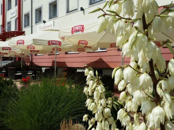 zdjecie Pruszcz Gdański