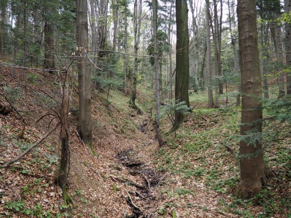 tu "rumieńców" potok Bełkotka nabiera a w Zdroju wody Iwonickiego Potoku zasili, tu Iwonką jest nazywany. Źródła mineralne występują w postaci samo- wypływów i