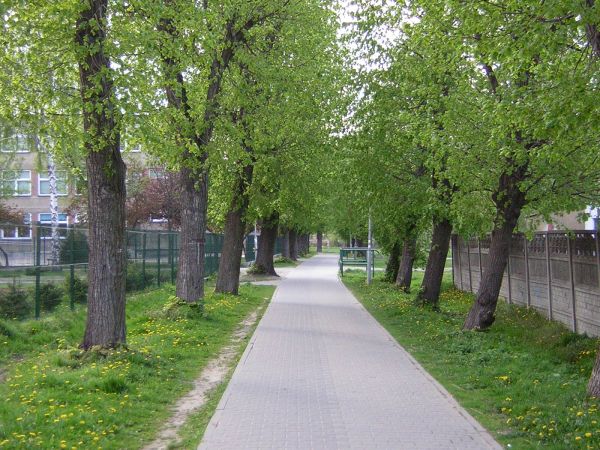 zdjecie Sulechów