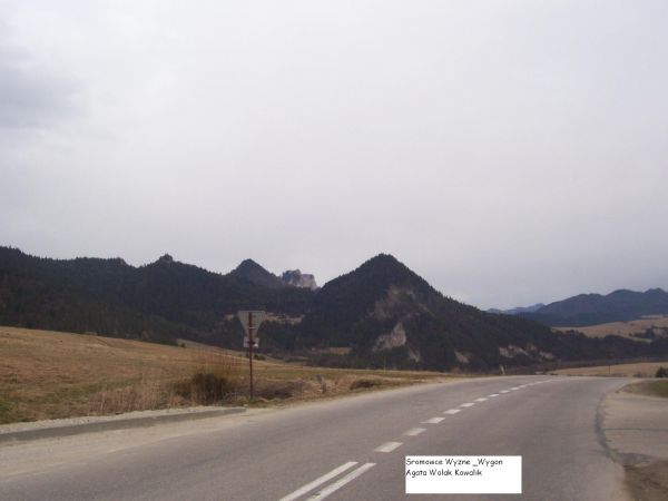 Widok na Macelowa Gore z Wygonu