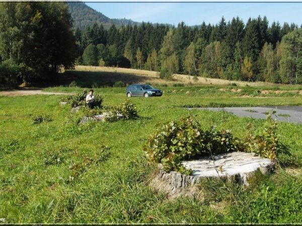 Odpoczynek nad zalewem radkowskim należy do przyjemności.