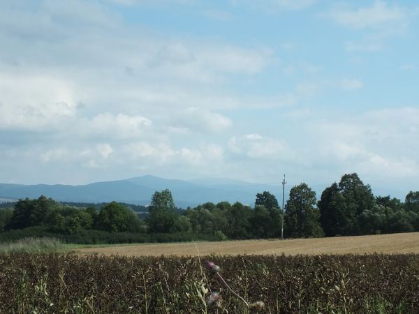 Takie widoki mają mieszkańcy Starkowa za oknami