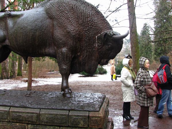 W 1928 do Spały przeniesiony został z Warszawy pomnik żubra – obecny symbol Spały