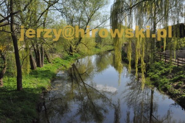 Kaszczor. Miejscowość założona w 1278 r przez Cystersów położona nad rzeczką Młynkówka.