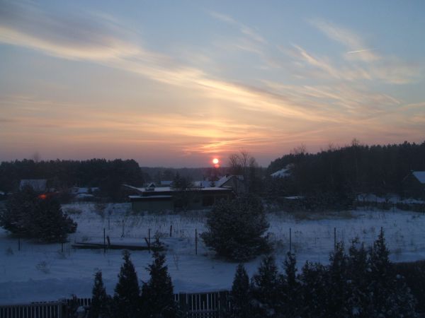 Tak wygląda piękny Kornelin w szacie zimowej