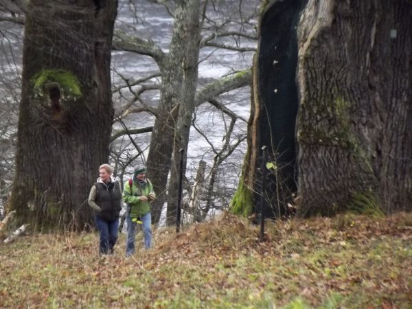 pośród pomnikowych drzew w parku pałacowym, w dole wartki nurt rzeki San. Warto przypomnieć że w tym pałacu mieszkała włoska miłość Adama Mickiewicza pani Ewa H