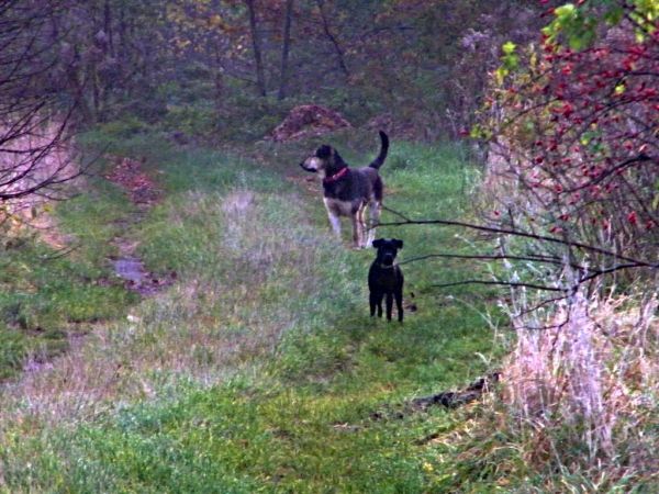 no niestety musiałem zawrócić