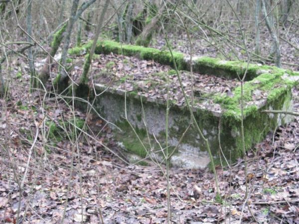 Stary cmentarz poniemiecki...