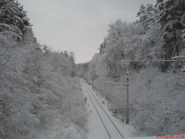 Widok z wiaduktu w lesie przed STACJĄ GAMERKI WIELKI.