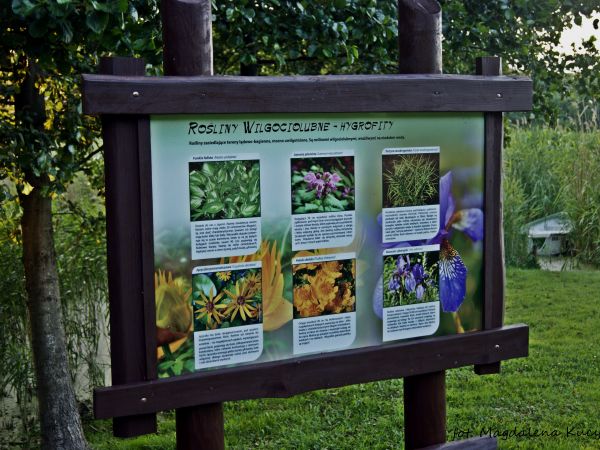 Borne Sulinowo. Ścieżka Edukacyjno-Przyrodnicza. tablica informacyjna autor: Magdalena Kucyrka