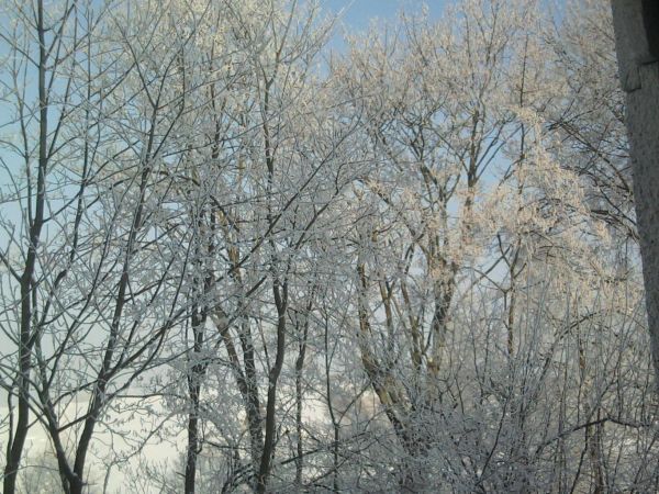 Zdjęcia Biały Bukowiec