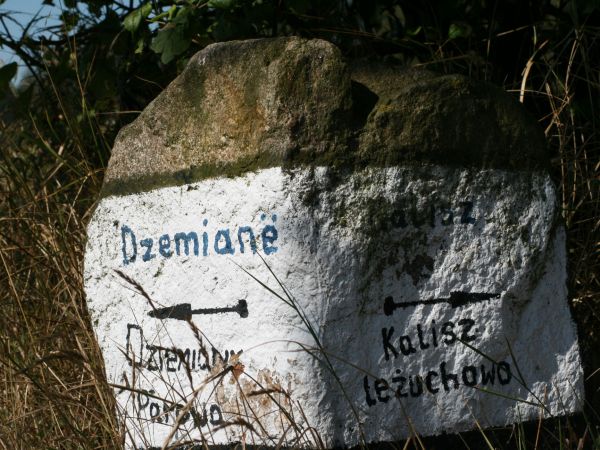 zdjecie Dziemiany