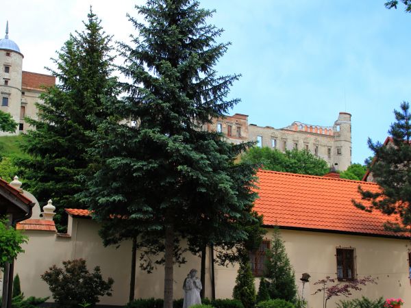 zdjecie Janowiec