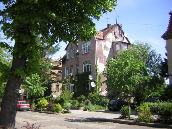 zdjecie Sulechów