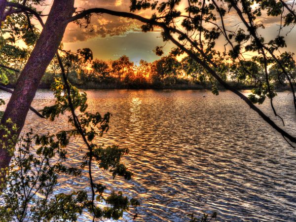 zdjecie Wodzisław Śląski