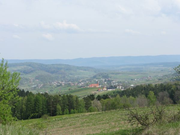 z grzbietu "Pod Uboczem" , za nami grupa wzniesień z najwyższą kulminacją Pogary - 641m npm i Dział zwany Patrola - 443m npm.