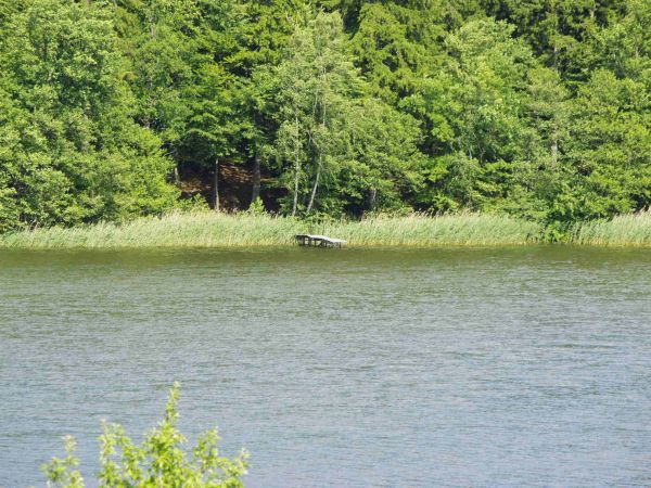 Dzika plaża "dzikus"