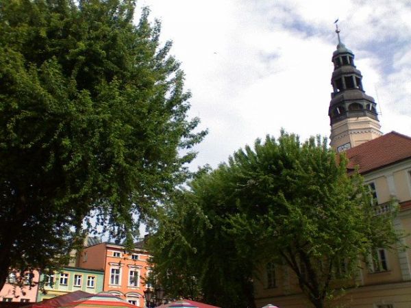 zdjecie Zielona Góra