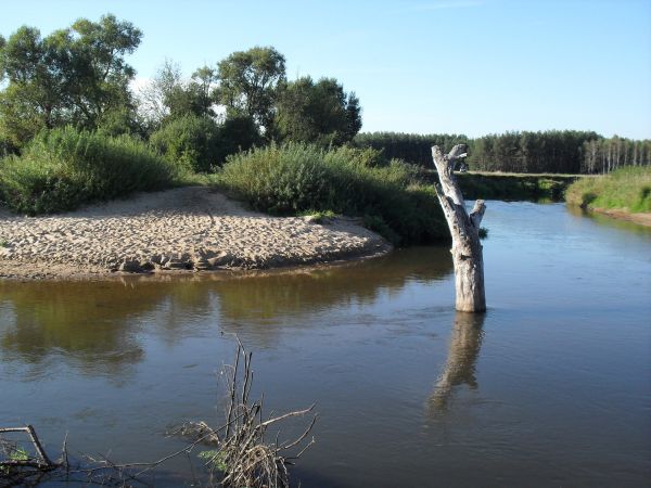 Plaża nad Liwcem - strefa nadliwiecka