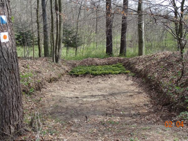 ogrodzony rewir Leśnictwa Kostryń - tam "monitorowane" szkółki i plantacje.