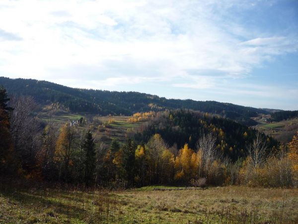 Harbutowice. Widok z Kijowki na Chodników
