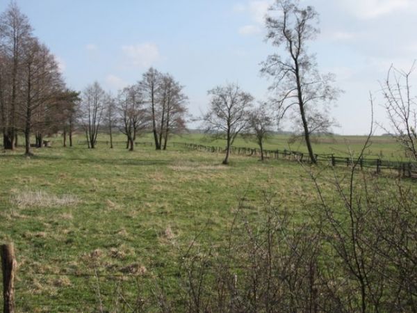 zdjecie Czarna Średnia